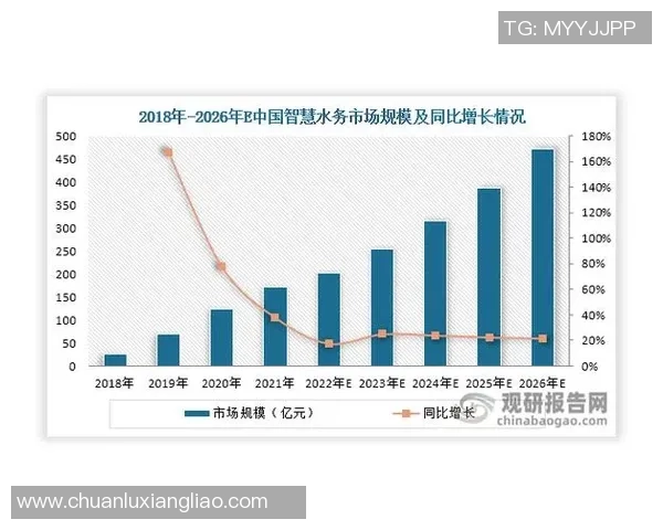 南京排球队反击之路的得与失深度分析与展望