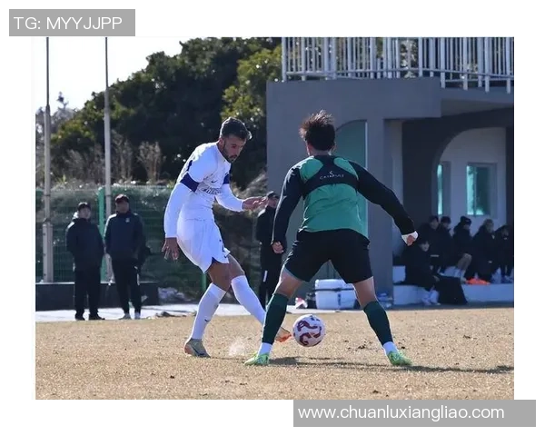 喀麦隆足球明星球员排名及其在国际赛场上的影响力分析