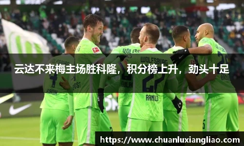 zoty中欧官方网站