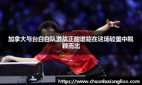 zoty中欧