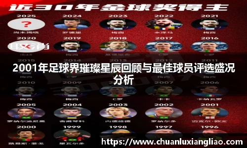 2001年足球界璀璨星辰回顾与最佳球员评选盛况分析
